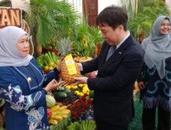 Jatim Buka Peluang Kerjasama Pendidikan dengan Dongseo University Korsel, Khofifah : Perkuat Kualitas SDM