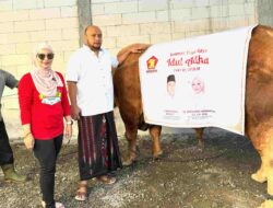 Berkah Idul Adha, Pasangan Politisi Gerindra Asal Blitar Sembelih 2 Sapi dengan Bobot 1.3 dan 1 Ton