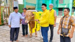 spirit-iduladha-golkar-jatim-salurkan-hewan-kurban-untuk-pwnu-dan-muhammadiyah