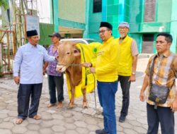 spirit-iduladha-golkar-jatim-salurkan-hewan-kurban-untuk-pwnu-dan-muhammadiyah