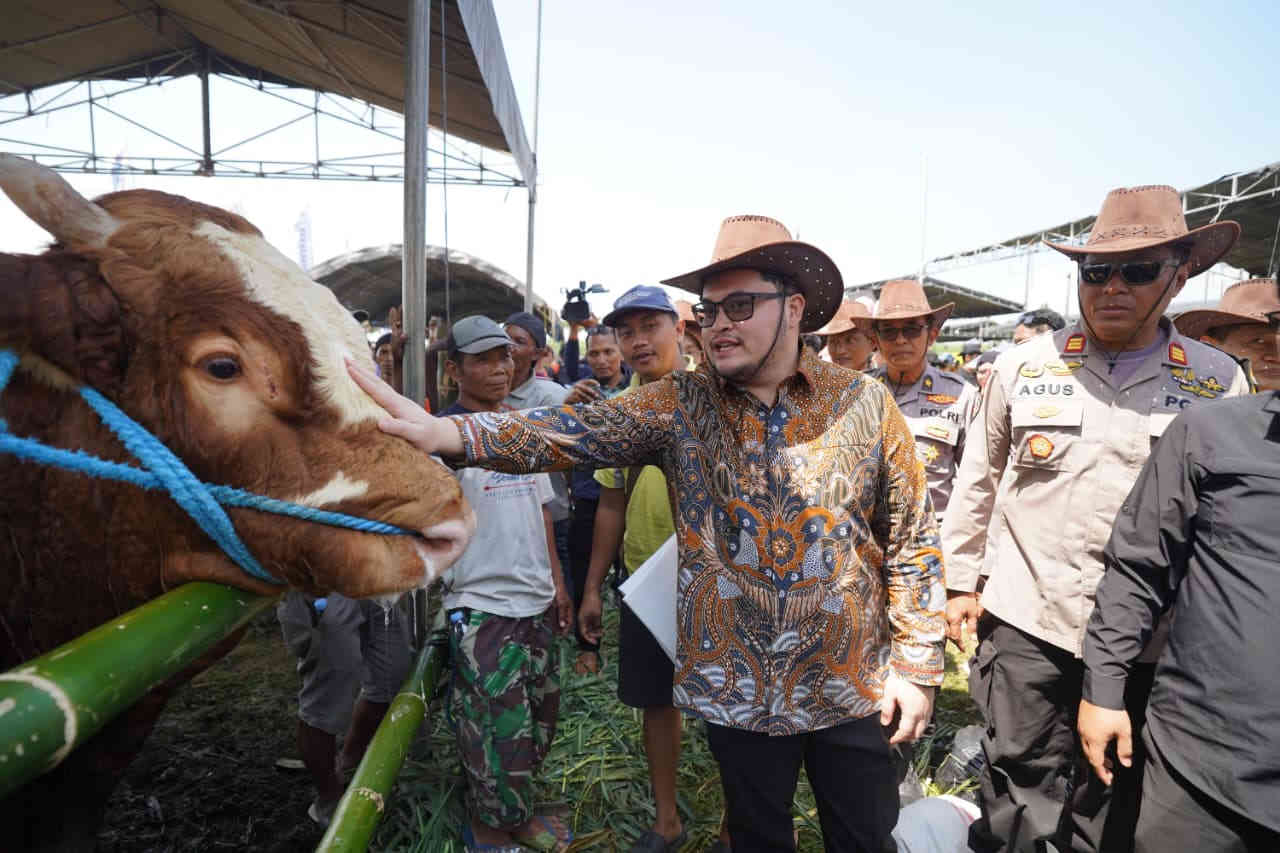 Bupati Kediri Hanindhito Himawan Pramana meninjau kontes sapi di Desa Wonorejo Kecamatan Wates Kediri.