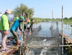 BRIDA Surabaya Kembangkan Sistem Silvofishery di Kawasan Tambak