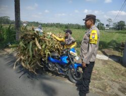 Swasembada Pangan Nasional, Polres Blitar Kota Pantau Perkembangan Jagung Petani