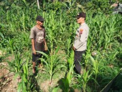 Wujudkan Swasembada Pangan Polres Blitar Patroli Dialogis bersama Petani