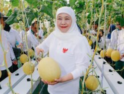 Dari Masjid, Tumbuh Ikan dan Melon