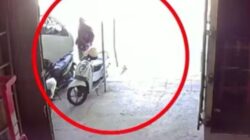 Kurang dari 48 Jam, Polres Pamekasan Ringkus Lansia Pencuri Motor asal Sampang