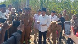 Bupati Jember Meninjau Langsung Proyek RJIT Desa Wonojati