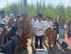 Bupati Jember Meninjau Langsung Proyek RJIT Desa Wonojati
