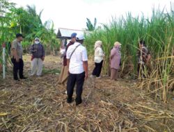 Pastikan Bantuan Pemerintah Tepat Sasaran, Kementan Audit Pengadaan Tanaman Tebu di Blitar