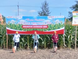 Perkuat Hilirisasi Jagung dan Pengembangan UMKM Pertanian Melalui Kolaborasi Lintas Sektor