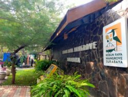 BRIDA Surabaya Targetkan KRM Gunung Anyar Punya 100 Jenis Mangrove