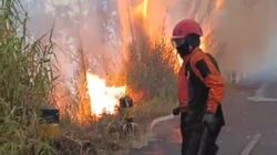 BPBD Jatim Kerahkan Drone Water Spray dan Helikopter Tangani Karhutla Bromo