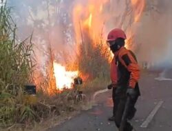 BPBD Jatim Kerahkan Drone Water Spray dan Helikopter Tangani Karhutla Bromo