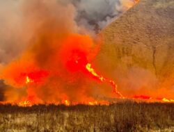 Terkendala Angin Kencang, Kebakaran Gunung Bromo Libatkan Tiga Helikopter Water Bombing