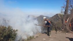 Karhutla Bromo Hari ke-12 Berhasil Dipadamkan, Area Terbakar Capai 1.120,3 Hektar