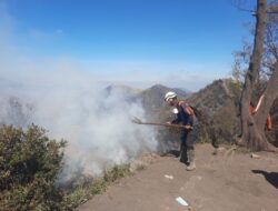 Karhutla Bromo Hari ke-12 Berhasil Dipadamkan, Area Terbakar Capai 1.120,3 Hektar