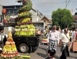 Ancak Agung Jember Raih Dua Rekor MURI Dunia, Gus Fawait: Jaga Tradisi Gotong Royong