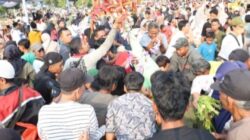 Petani dan Pelaku Usaha Jember Ketiban Berkah Ancak Agung, Pesanan Sayuran Melonjak