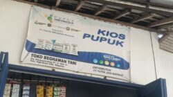 Petani  Mengeluh, Pupuk Subsidi Sulit Didapat Saat Musim Pemupukan 