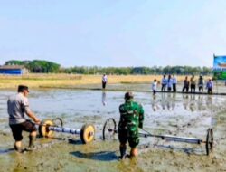 Gerakan Tanam Dorong Percepatan Masa Tanam Dan Optimalisasi Lahan