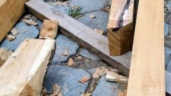 Diduga Gunakan Kayu Basah, Pengawasan Revitalisasi SDN 3 Ngariboyo Dipertanyakan