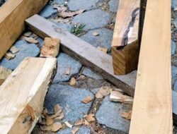 Diduga Gunakan Kayu Basah, Pengawasan Revitalisasi SDN 3 Ngariboyo Dipertanyakan