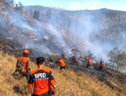 Empat Petugas Tewas Saat Padamkan Karhutla Bromo, Polisi Lakukan Penyelidikan