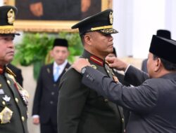 Maruli Jadi Wakil Panglima TNI, Tandyo KSAD