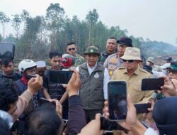 Menhut Siap Cabut Izin Enam Perusahaan Penyebab Karhutla