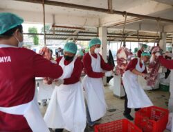 RPH Surabaya Perketat Pengawasan Daging Gelonggongan