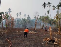 Kebakaran Lahan di Tiga Provinsi Hanguskan Perkebunan dan Vegetasi